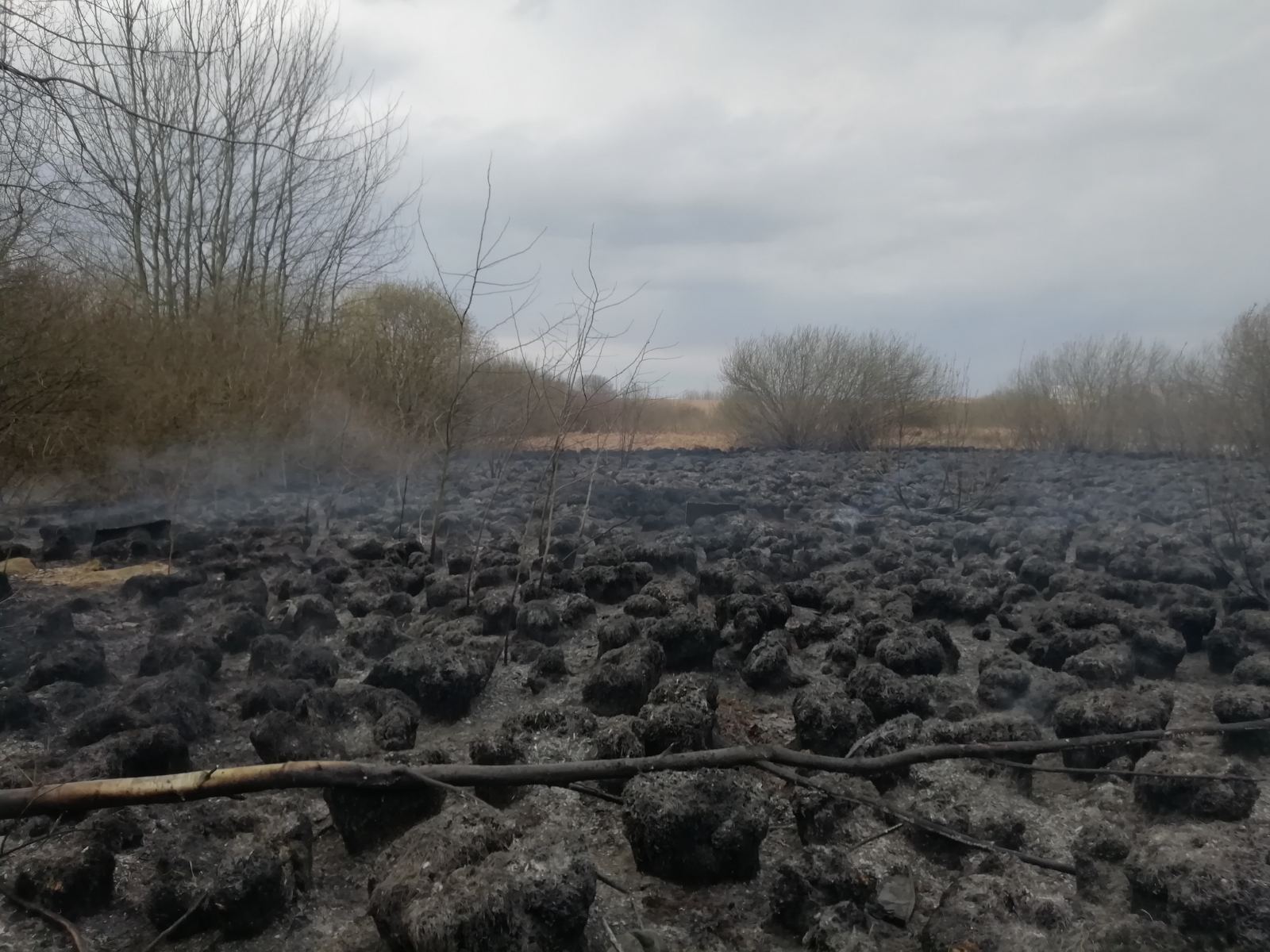 Работники МЧС ликвидировали возгорание сухой растительности в Малиновке