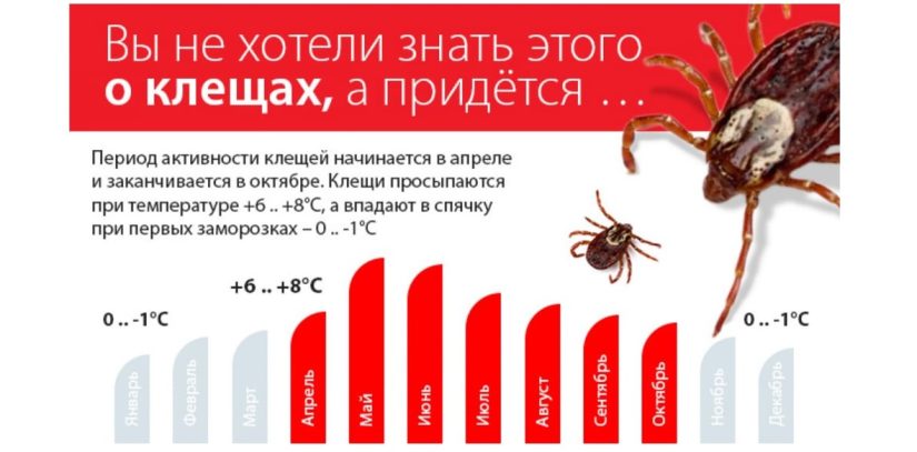 «Минск – здоровый город»: Профилактика клещевых инфекций